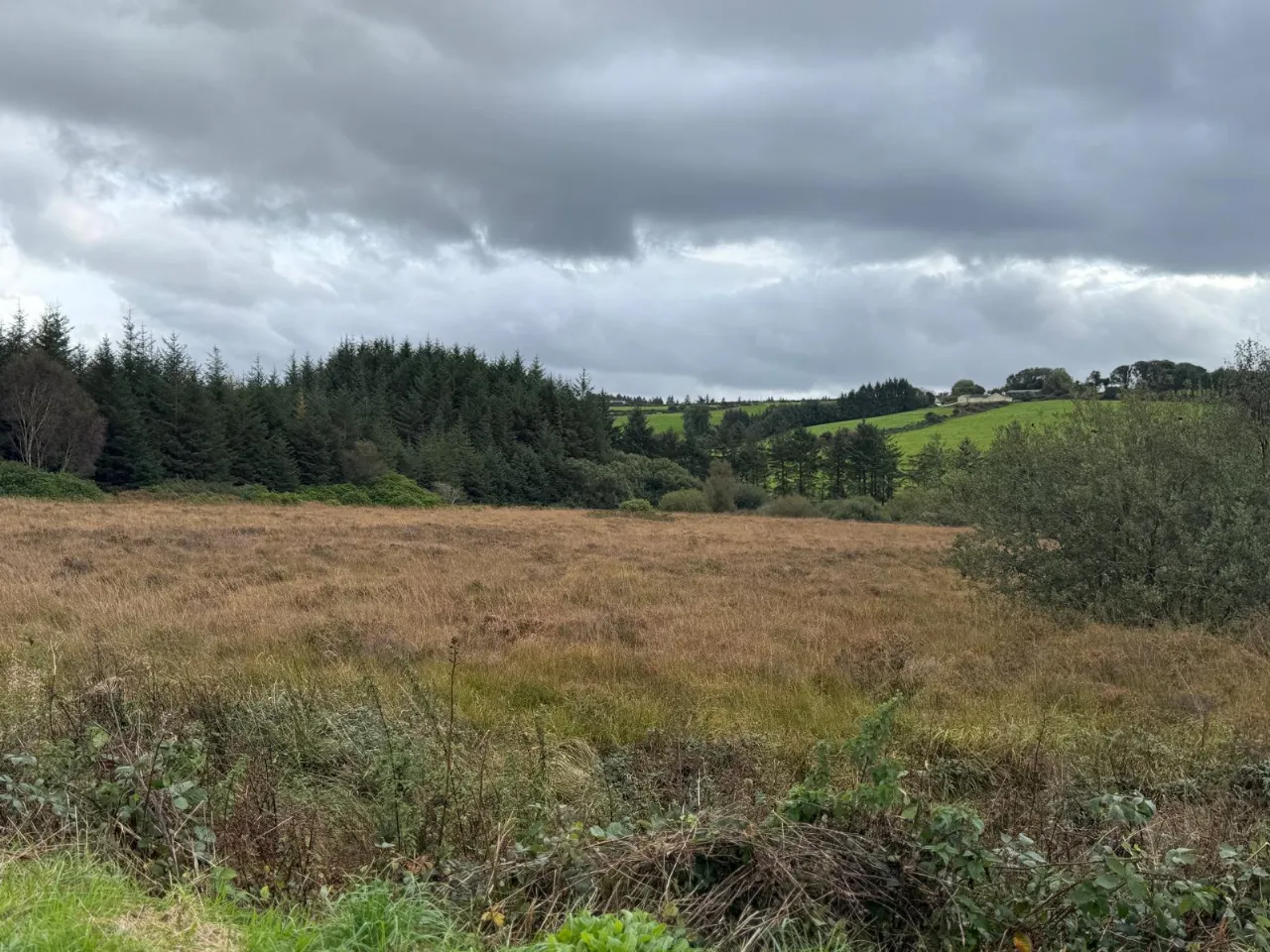 Photo of 9.58 Acres Agricultural Land, Mastergeeha, Kilcummin, Killarney, Co. Kerry
