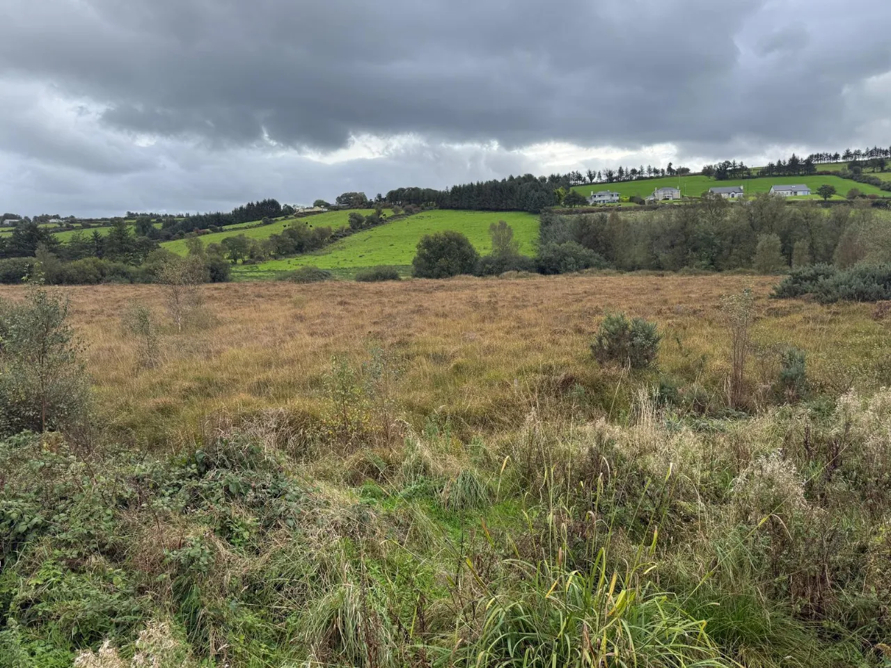 Photo of 9.58 Acres Agricultural Land, Mastergeeha, Kilcummin, Killarney, Co. Kerry