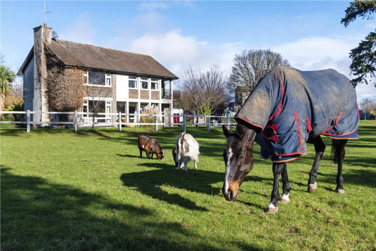 Photo of Bella Vista House, Templeogue Mill, Templeogue, Dublin 6W, D6W N925