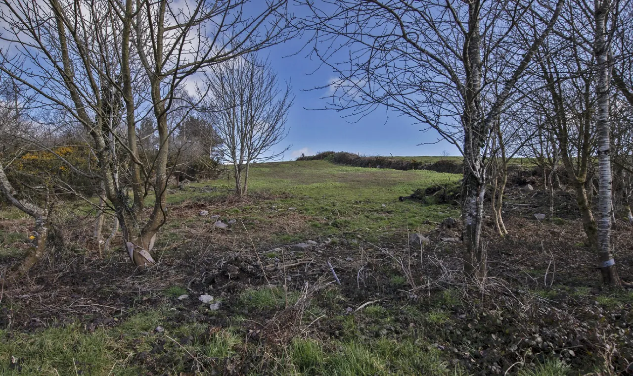 Photo of The Horse Haven, Ballyconnery Upper, Kilgobinet, Dungarvan, Co Waterford, X35EP02