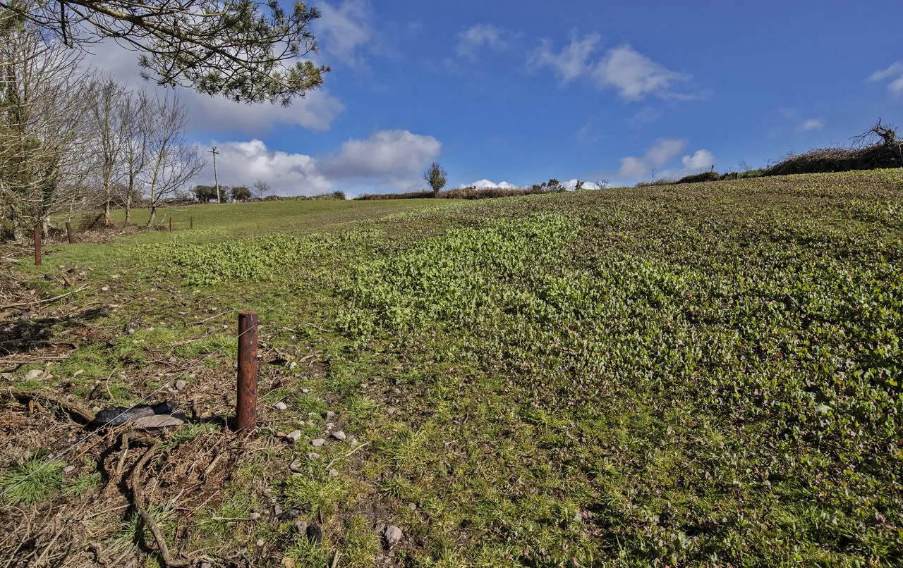 Photo of The Horse Haven, Ballyconnery Upper, Kilgobinet, Dungarvan, Co Waterford, X35EP02