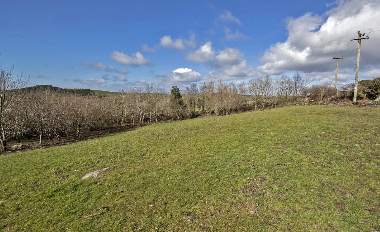 Photo of The Horse Haven, Ballyconnery Upper, Kilgobinet, Dungarvan, Co Waterford, X35EP02