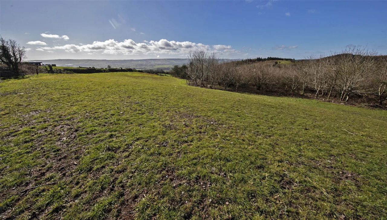 Photo of The Horse Haven, Ballyconnery Upper, Kilgobinet, Dungarvan, Co Waterford, X35EP02