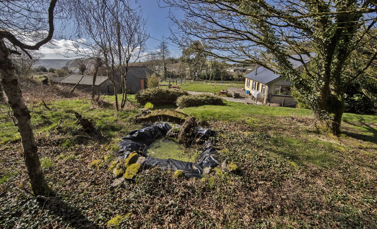Photo of The Horse Haven, Ballyconnery Upper, Kilgobinet, Dungarvan, Co Waterford, X35EP02