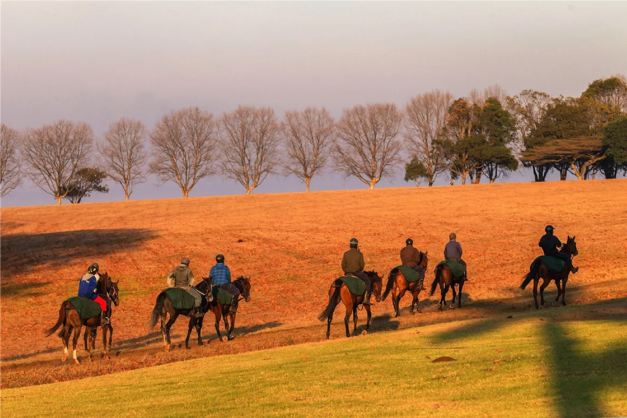 Photo of M Type - 1 Bed Maisonette, Oak Church, Kildare, Co. Kildare