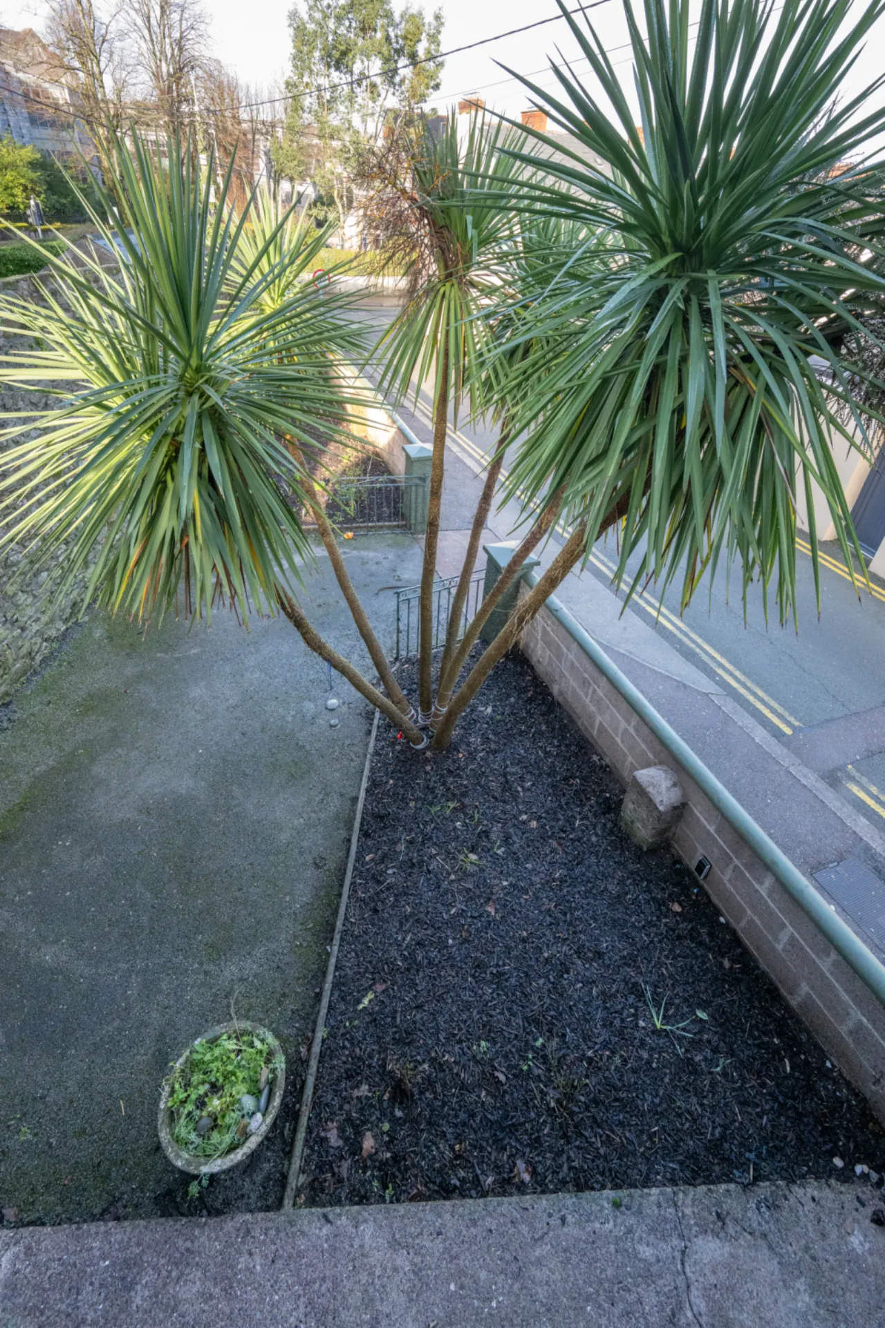 Photo of 30 Wycherley Terrace,, College Road,, Cork, T12 HDR1