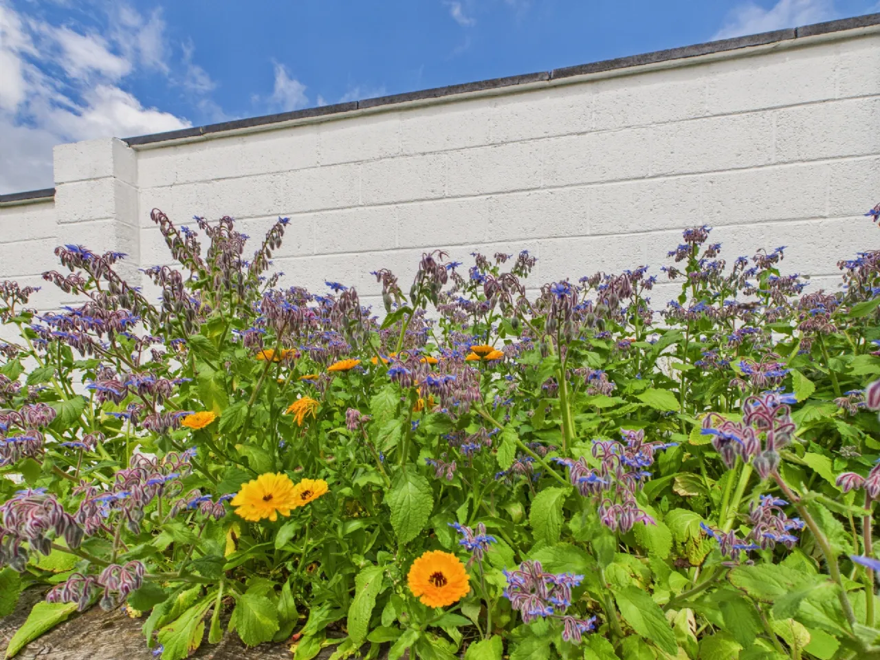 Photo of The Gable End, Killimor, Ballinasloe, Co. Galway, H53 Y2E9