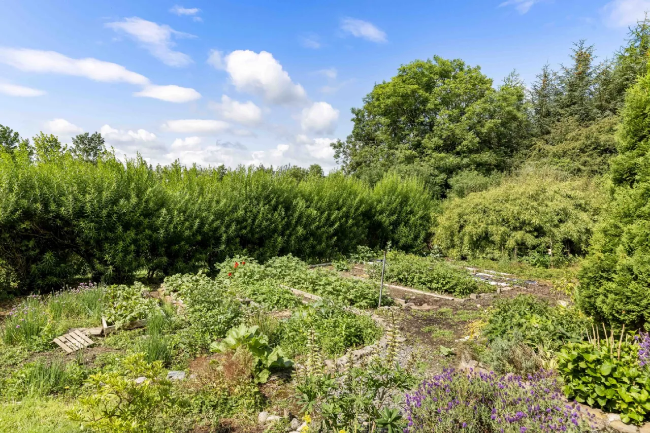 Photo of Drumloman, Kilnaleck, Co. Cavan, A82 CR44