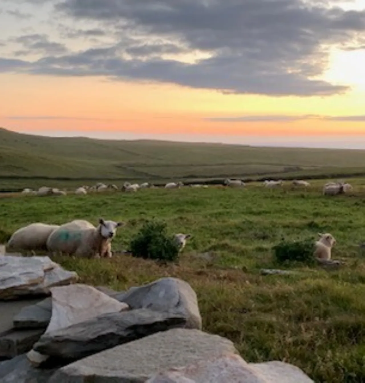 Photo of Dunlickey Road, Kilkee, Co. Clare, V15 HP20