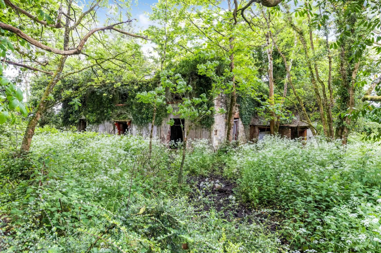 Photo of Portaliff House, Portaliffe, Killeshandra, Cavan