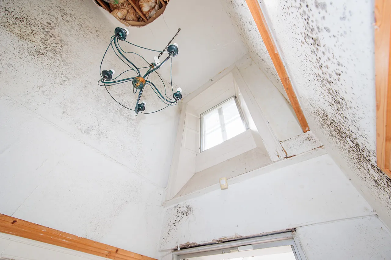 Photo of Newpark Lodge, Castlecomer Road, Kilkenny, R95 P97X