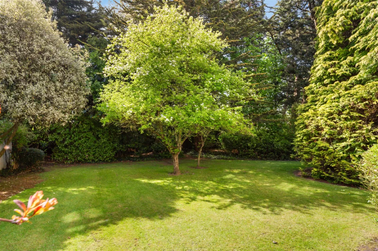 Photo of Trentham, Leopardstown Road, Foxrock, Dublin 18, D18 V2T6