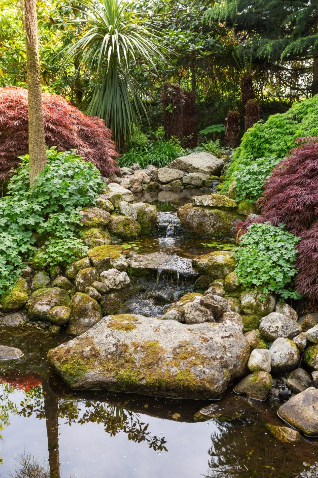 Photo of Trentham, Leopardstown Road, Foxrock, Dublin 18, D18 V2T6