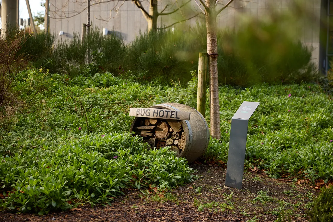 Photo of The Gardens At Elmpark Green, Merrion Road, Ballsbridge, Dublin 4