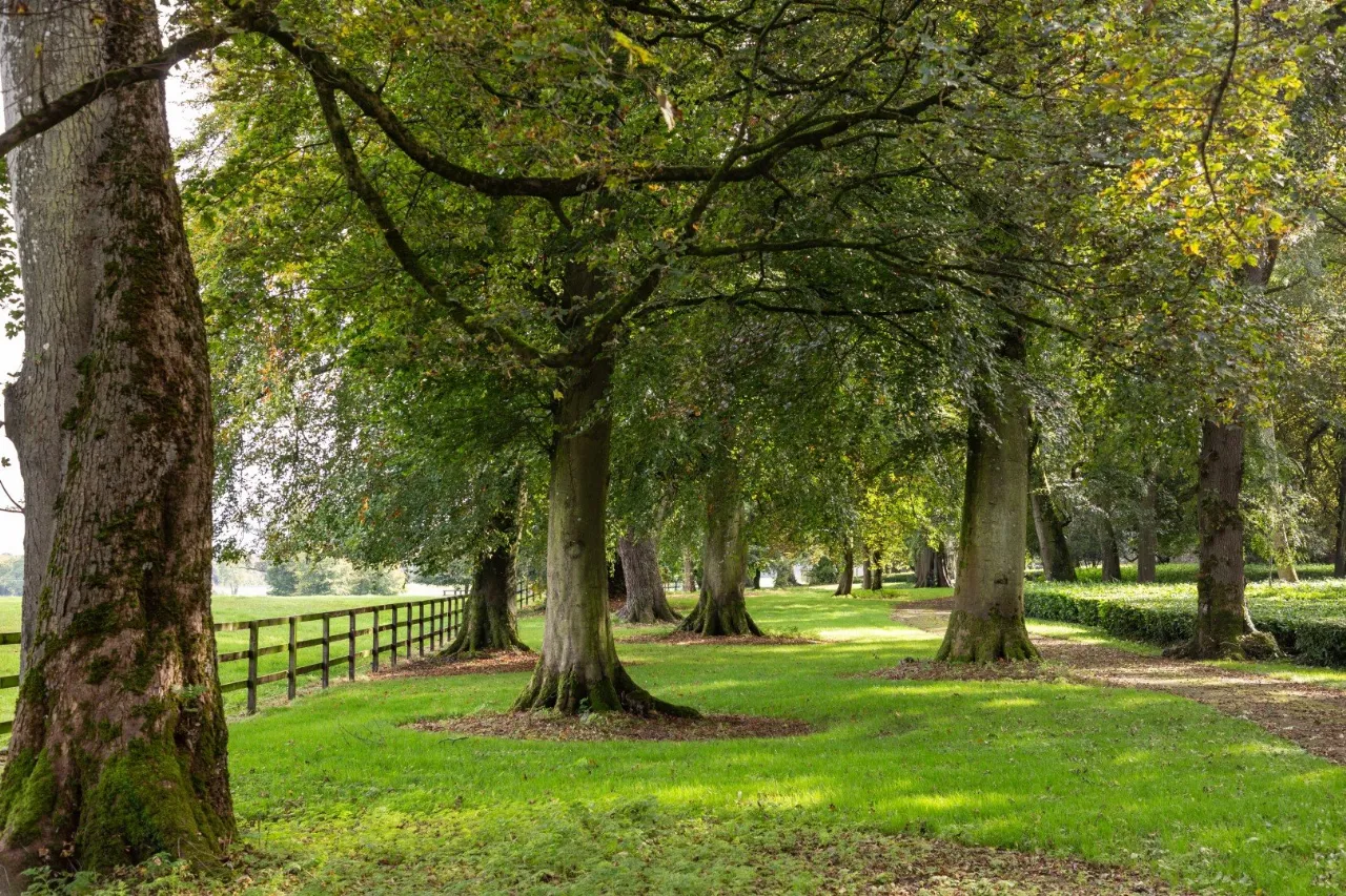 Photo of Ardbraccan House, Ardbraccan, Navan, County Meath, C15W8C0