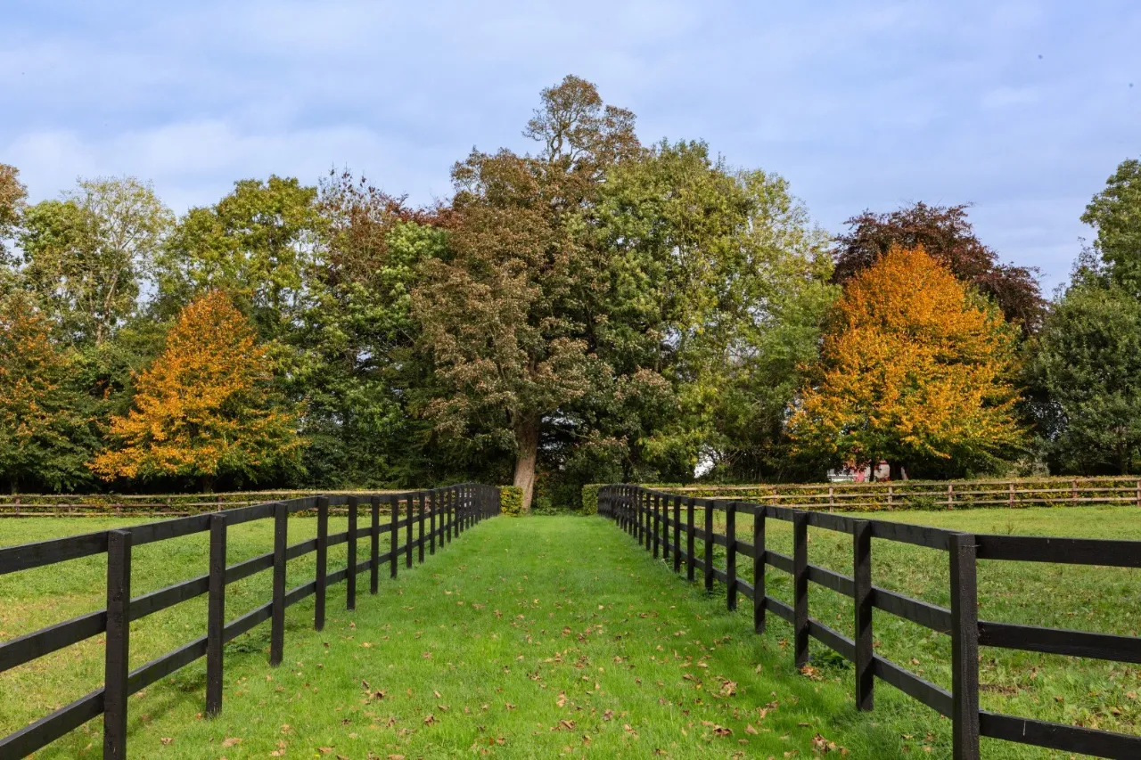 Photo of Ardbraccan House, Ardbraccan, Navan, County Meath, C15W8C0