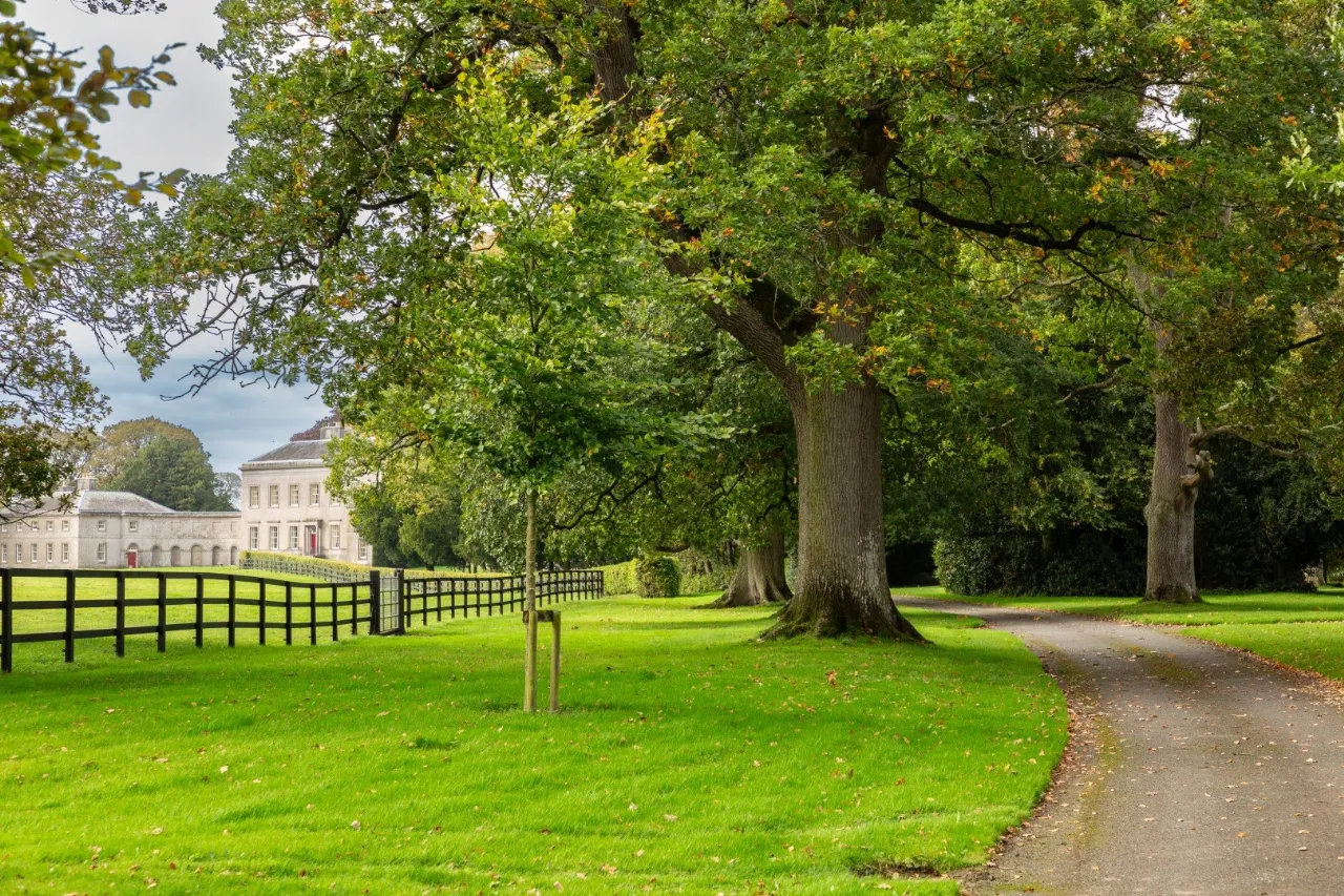 Photo of Ardbraccan House, Ardbraccan, Navan, County Meath, C15W8C0