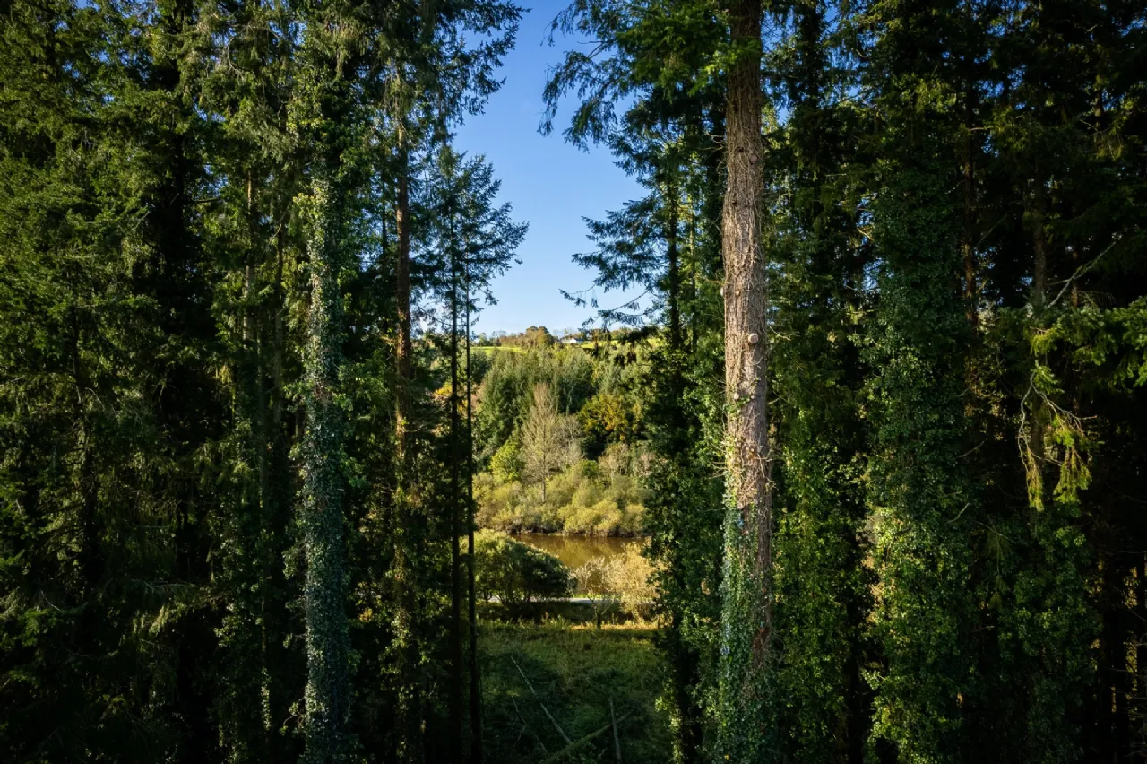 Photo of Brandon View, St. Mullin's, Co. Carlow, R95 H2A0