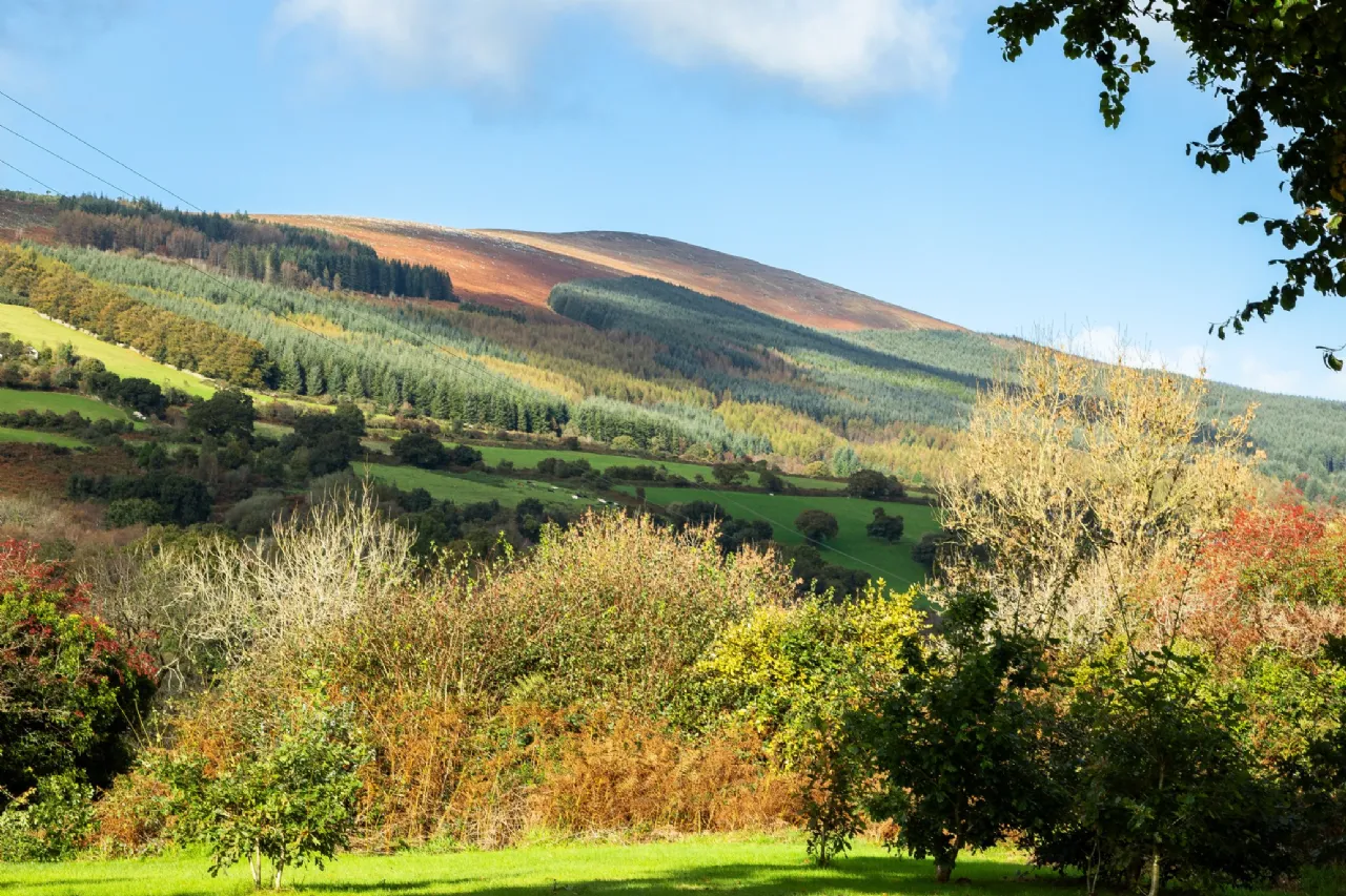 Photo of Brandon View, St. Mullin's, Co. Carlow, R95 H2A0
