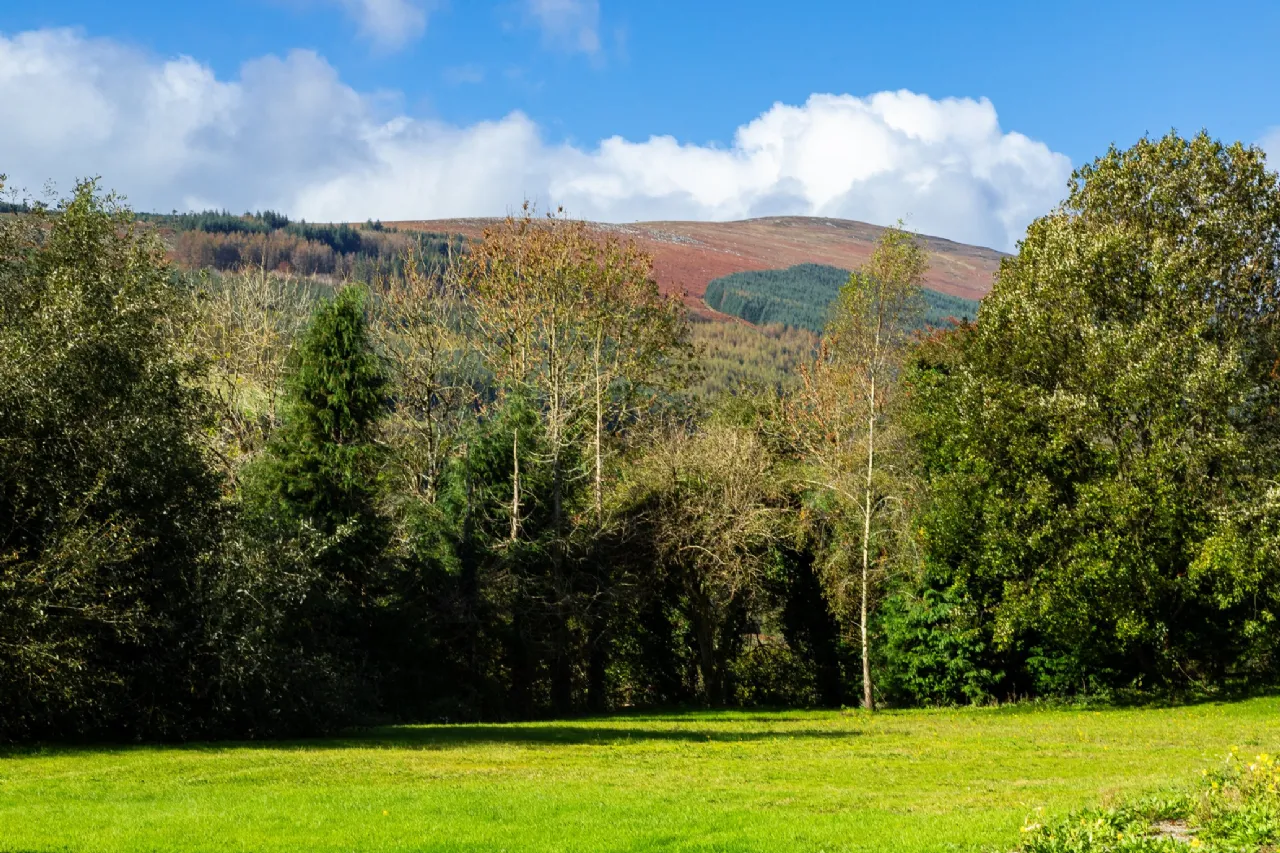 Photo of Brandon View, St. Mullin's, Co. Carlow, R95 H2A0