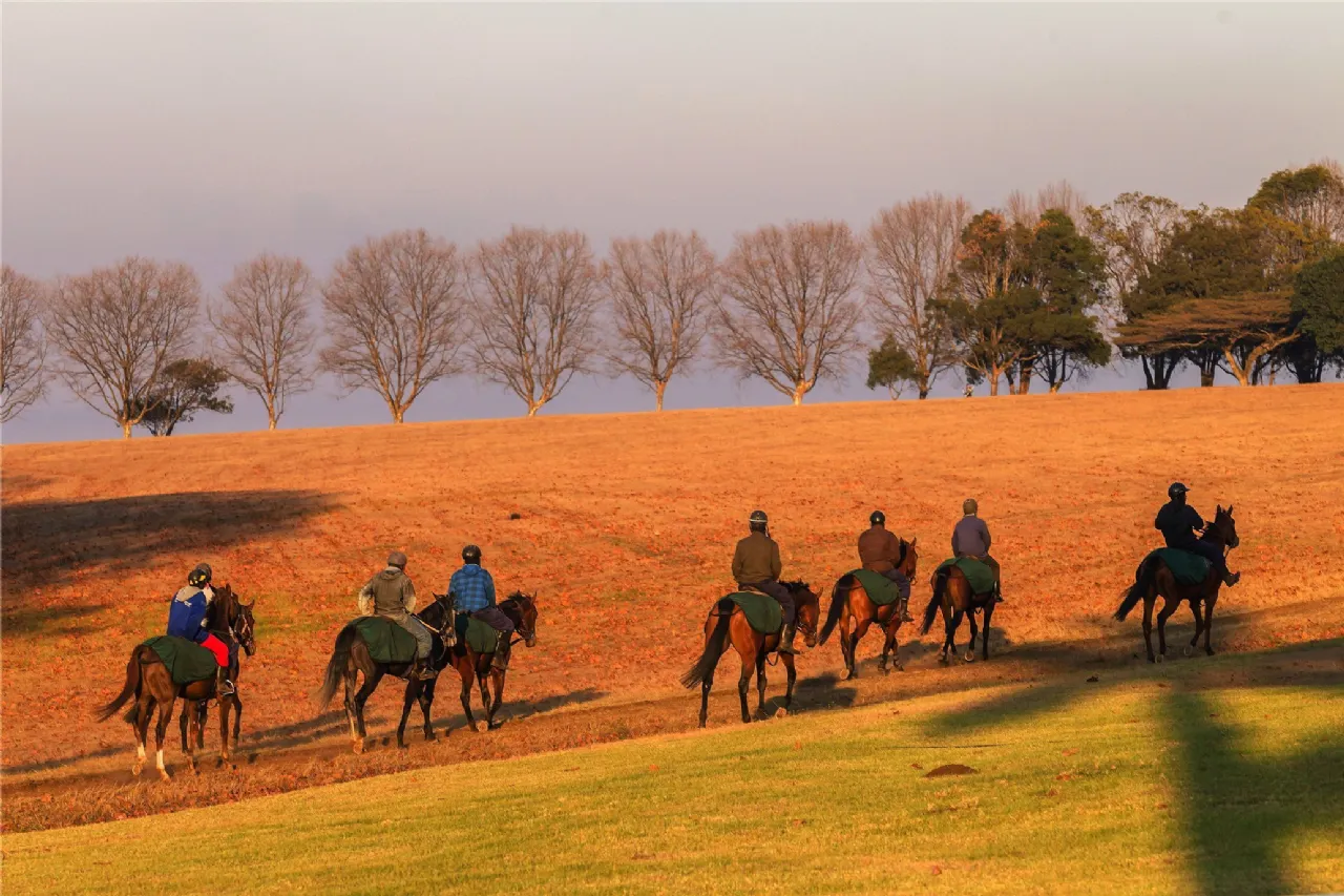 Photo of C Type - 2 Bed Semi-D Bungalow, Oak Church, Kildare, Co. Kildare