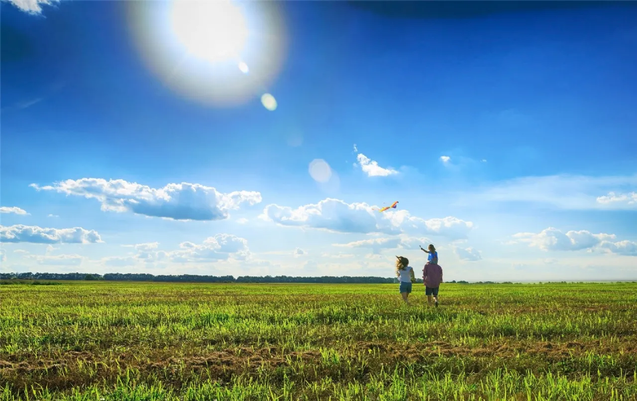 Photo of C Type - 2 Bed Semi-D Bungalow, Oak Church, Kildare, Co. Kildare