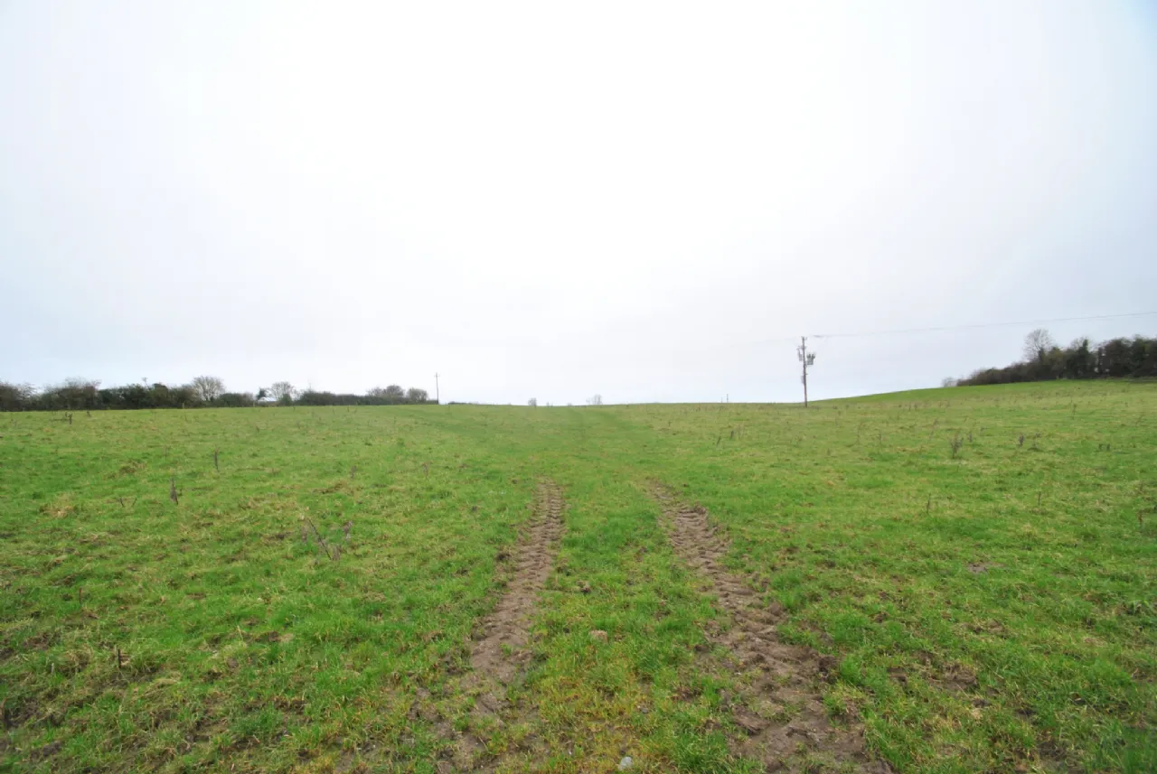 Photo of Whitepark, Approx. 6.29 Hectares / 15.54 Acres, Roscrea, Co. Tipperary