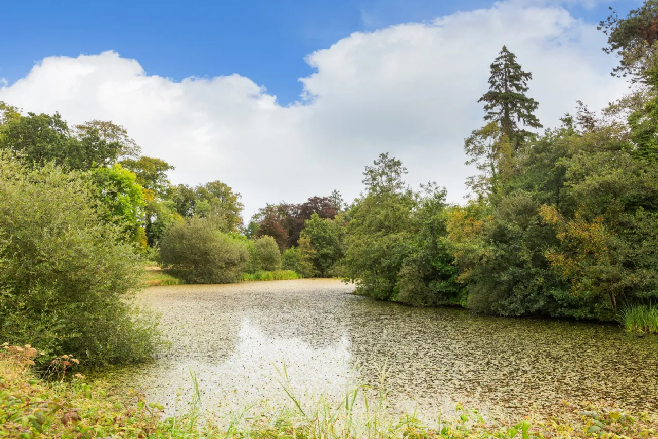 Photo of Ballyneale House, Ballingarry, Co. Limerick, V94 E729
