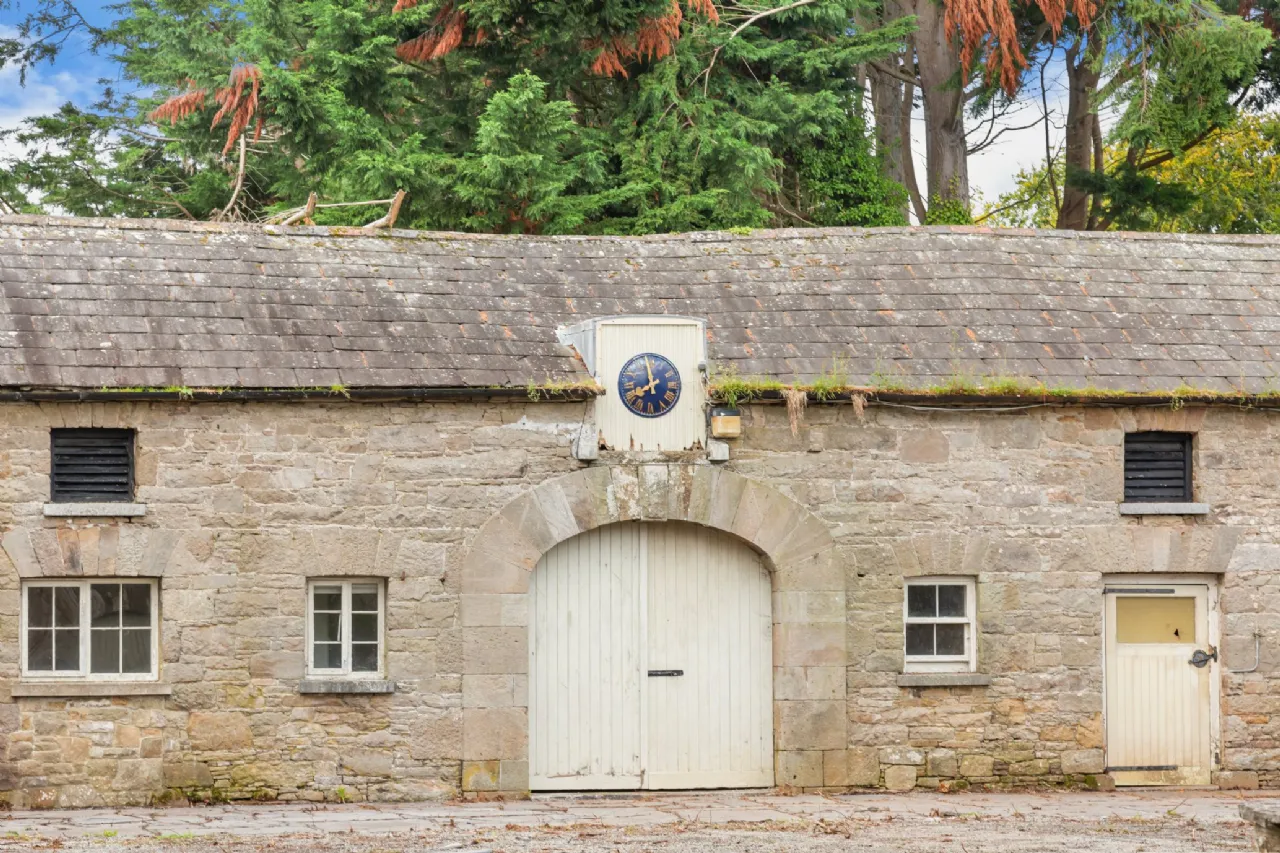 Photo of Ballyneale House, Ballingarry, Co. Limerick, V94 E729