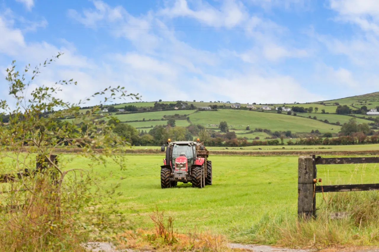 Photo of Ballyneale House, Ballingarry, Co. Limerick, V94 E729