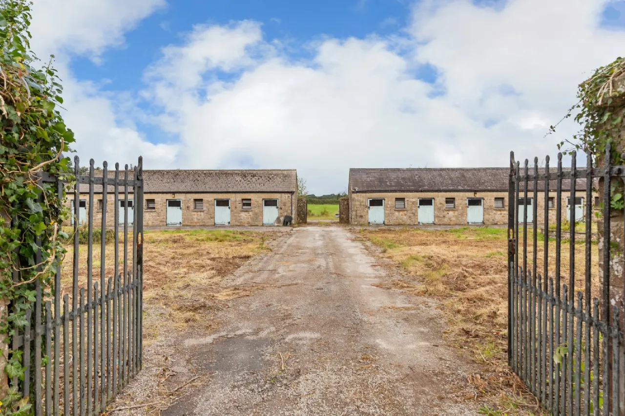 Photo of Ballyneale House, Ballingarry, Co. Limerick, V94 E729