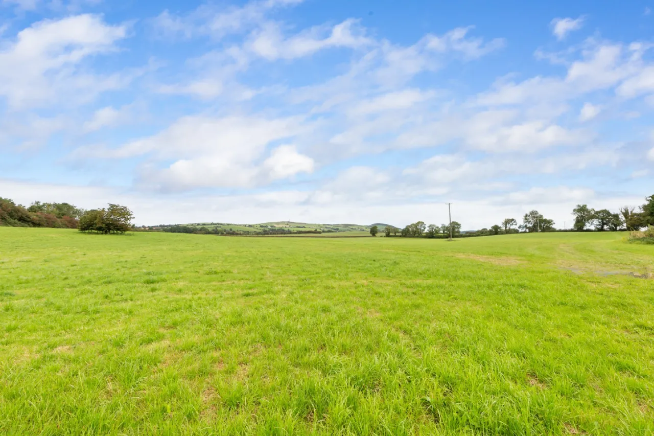 Photo of Ballyneale House, Ballingarry, Co. Limerick, V94 E729