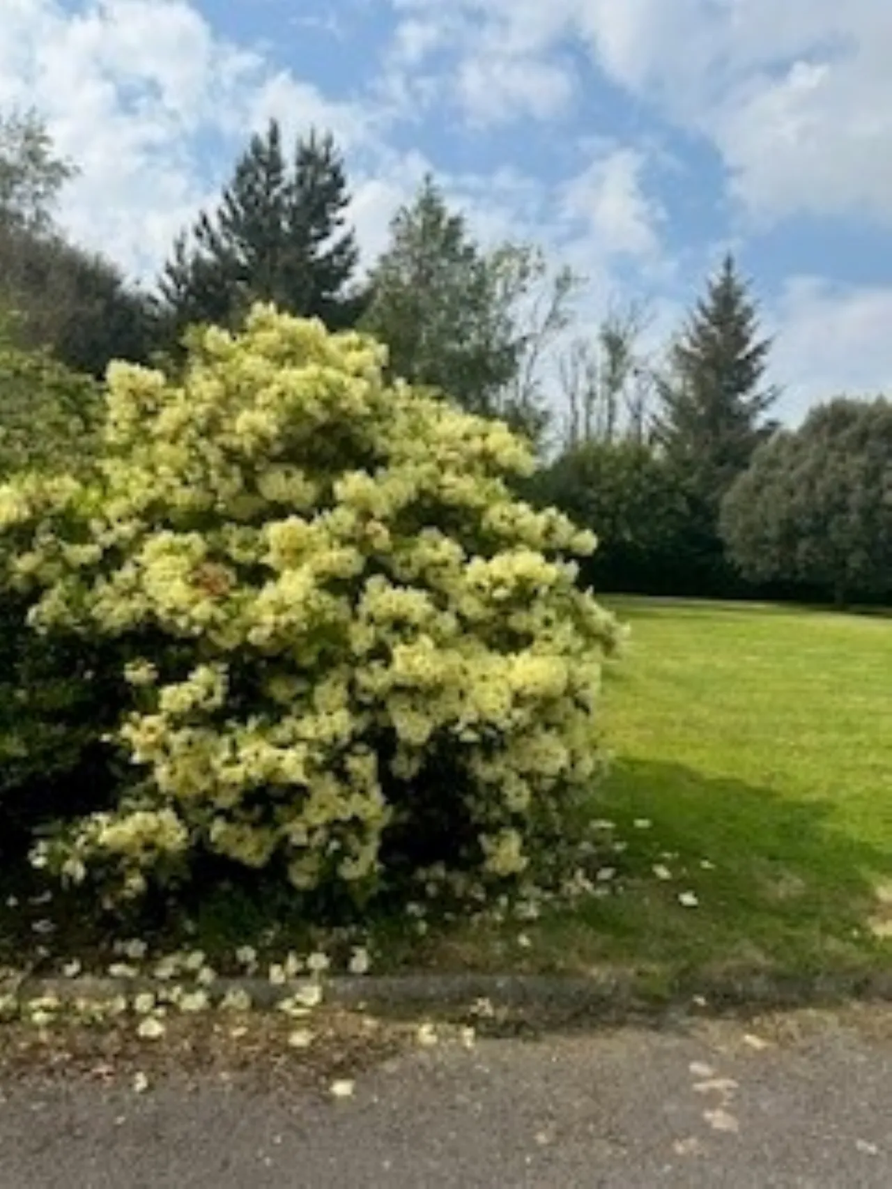 Photo of Rostellan On Circa 5.3 Acres, Oldgrange, Graiguenamanagh, Co Kilkenny, R95 DX66