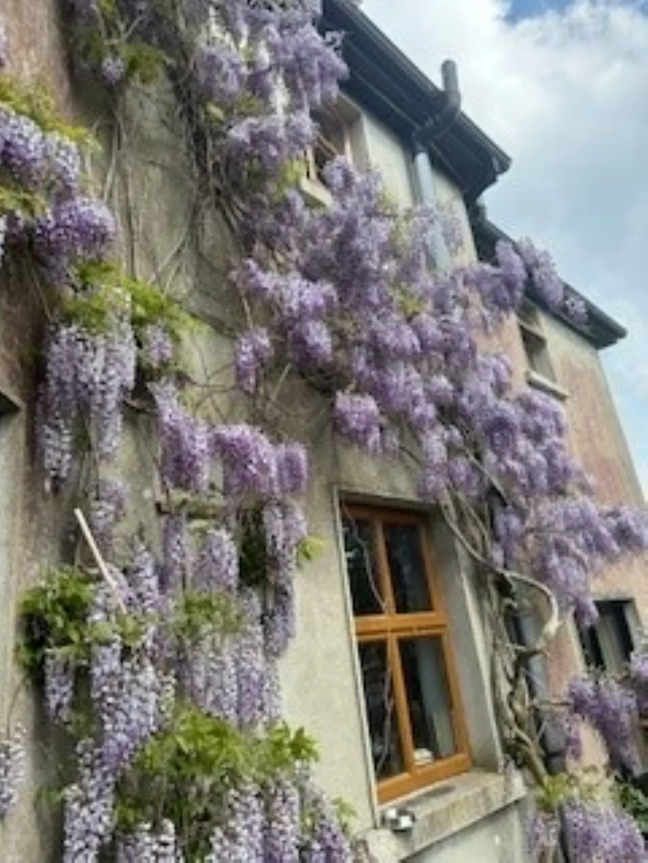 Photo of Rostellan On Circa 5.3 Acres, Oldgrange, Graiguenamanagh, Co Kilkenny, R95 DX66