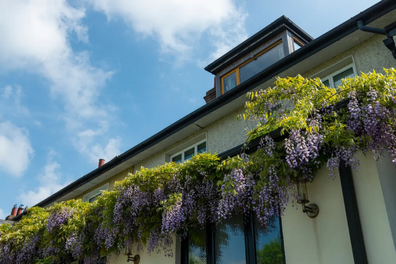 Photo of 8 Butterfield Park, Rathfarnham, Dublin 14, D14 XC85