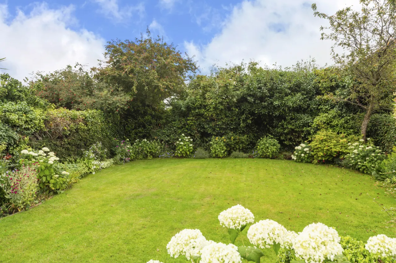 Photo of 20 Herbert Park, Donnybrook, Dublin 4, D04 T419