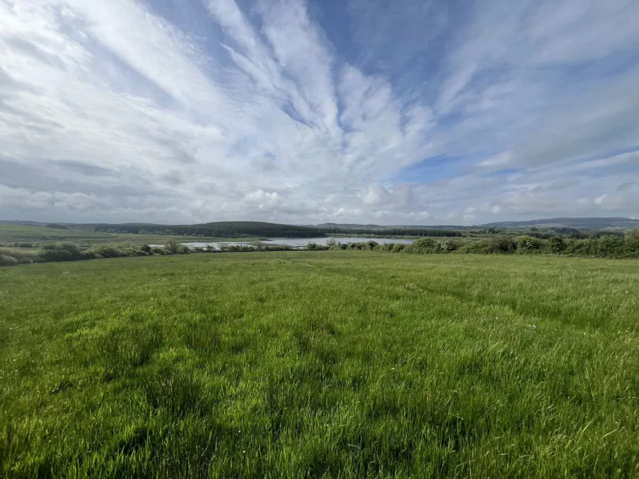Photo of 40 Hectares (98.7 Acres) Of Land, On Folio CE355, Drumcullaun, Inagh, Co. Clare.