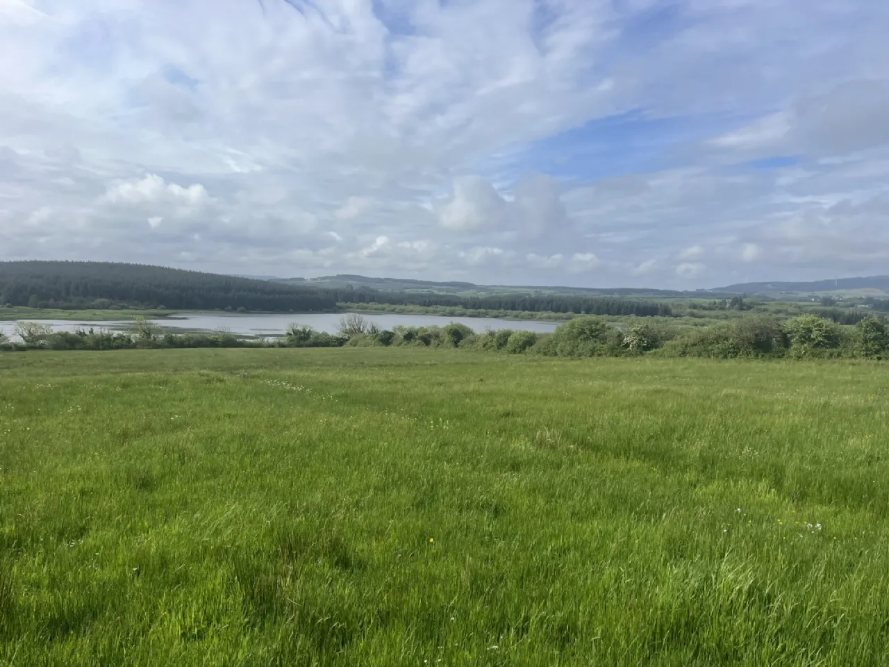 Photo of 40 Hectares (98.7 Acres) Of Land, On Folio CE355, Drumcullaun, Inagh, Co. Clare.