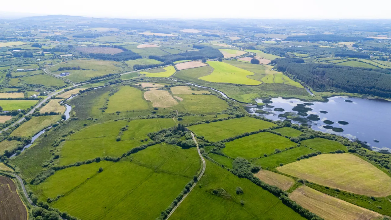 Photo of 40 Hectares (98.7 Acres) Of Land, On Folio CE355, Drumcullaun, Inagh, Co. Clare.