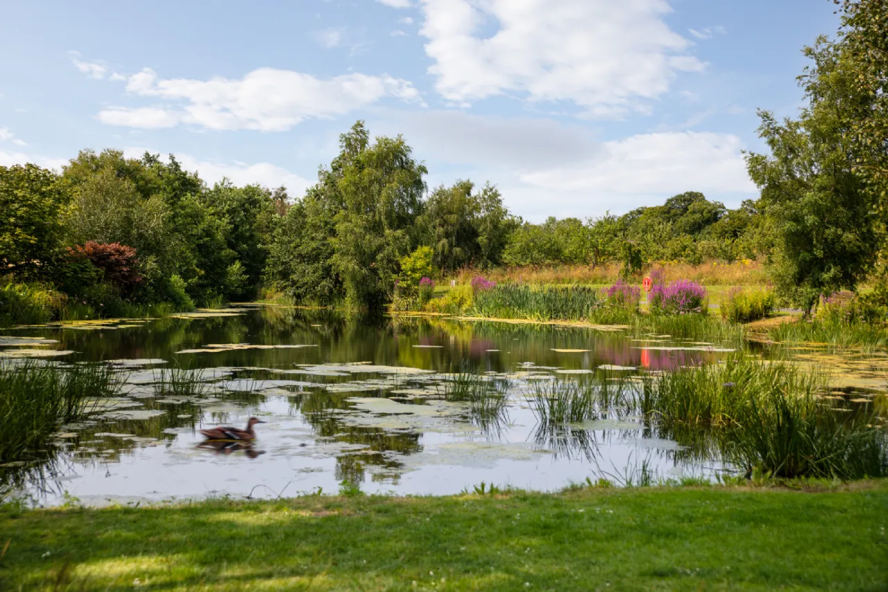 Photo of 2 Bedroom Apartment, Beckett Woods, Brighton Road, Foxrock, Dublin 18