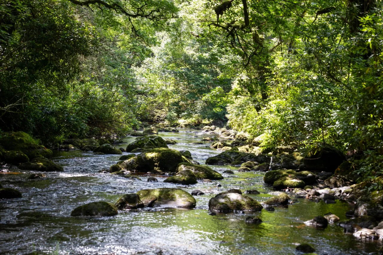 Photo of Ballyteige Lodge, Ballyteige, Tinahely, Arklow, County Wicklow, Y14WF83