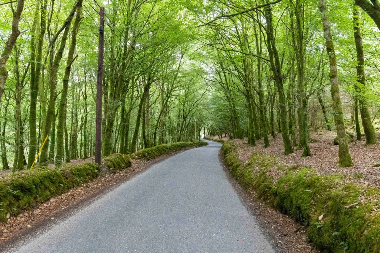 Photo of Ballyteige Lodge, Ballyteige, Tinahely, Arklow, County Wicklow, Y14WF83