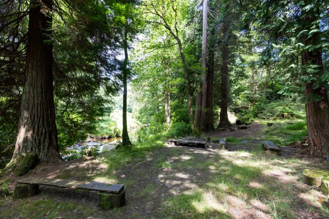 Photo of Ballyteige Lodge, Ballyteige, Tinahely, Arklow, County Wicklow, Y14WF83