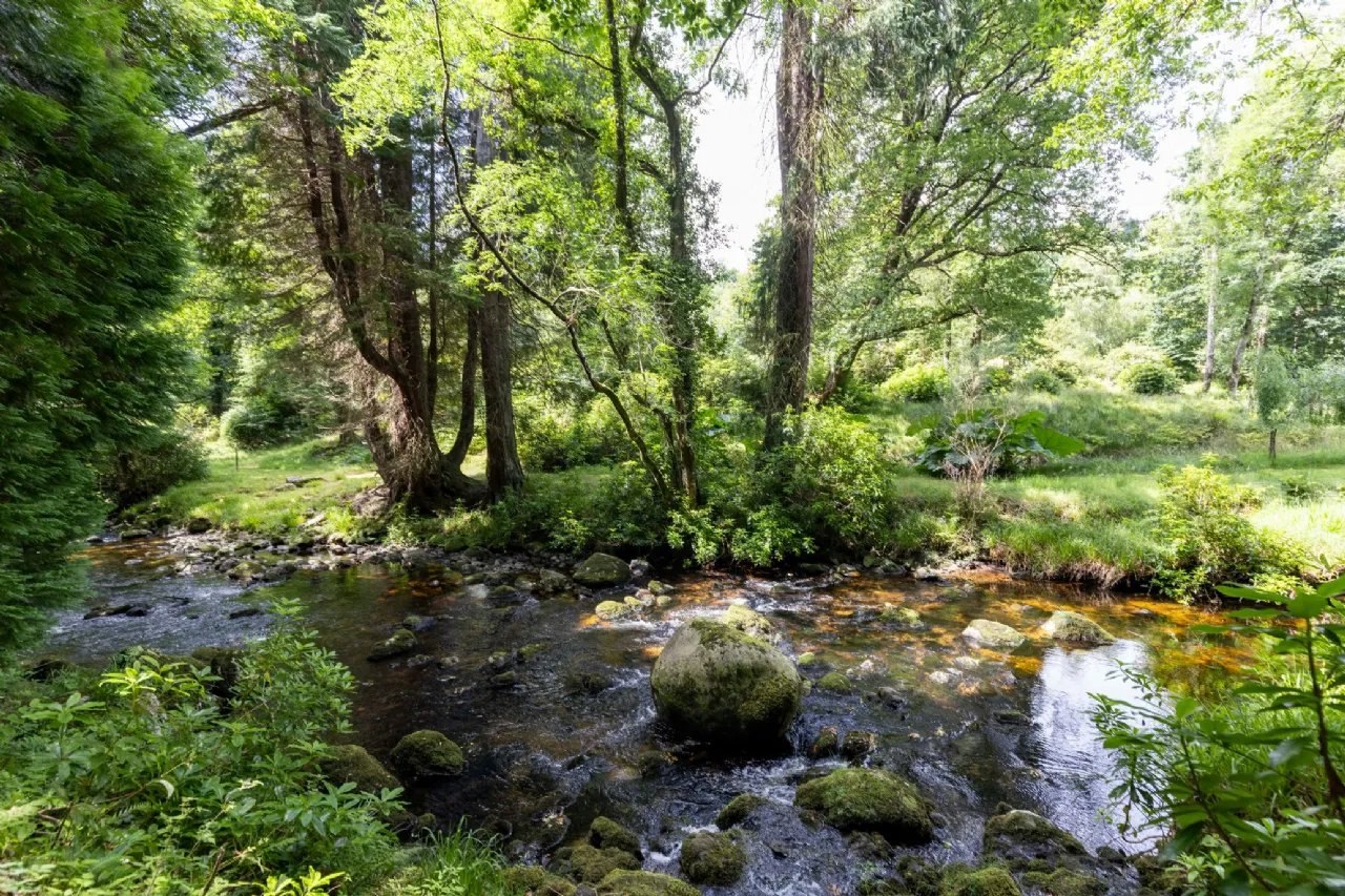 Photo of Ballyteige Lodge, Ballyteige, Tinahely, Arklow, County Wicklow, Y14WF83