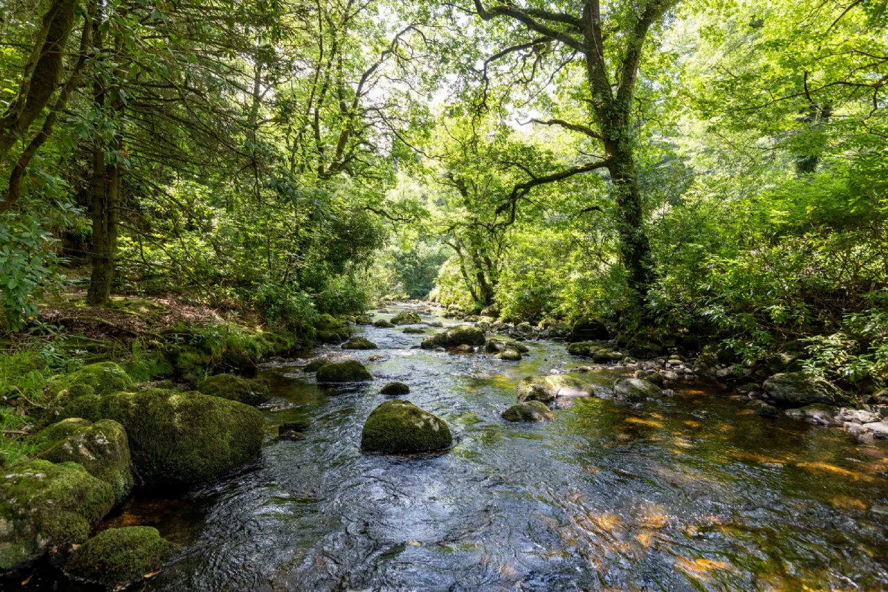 Photo of Ballyteige Lodge, Ballyteige, Tinahely, Arklow, County Wicklow, Y14WF83