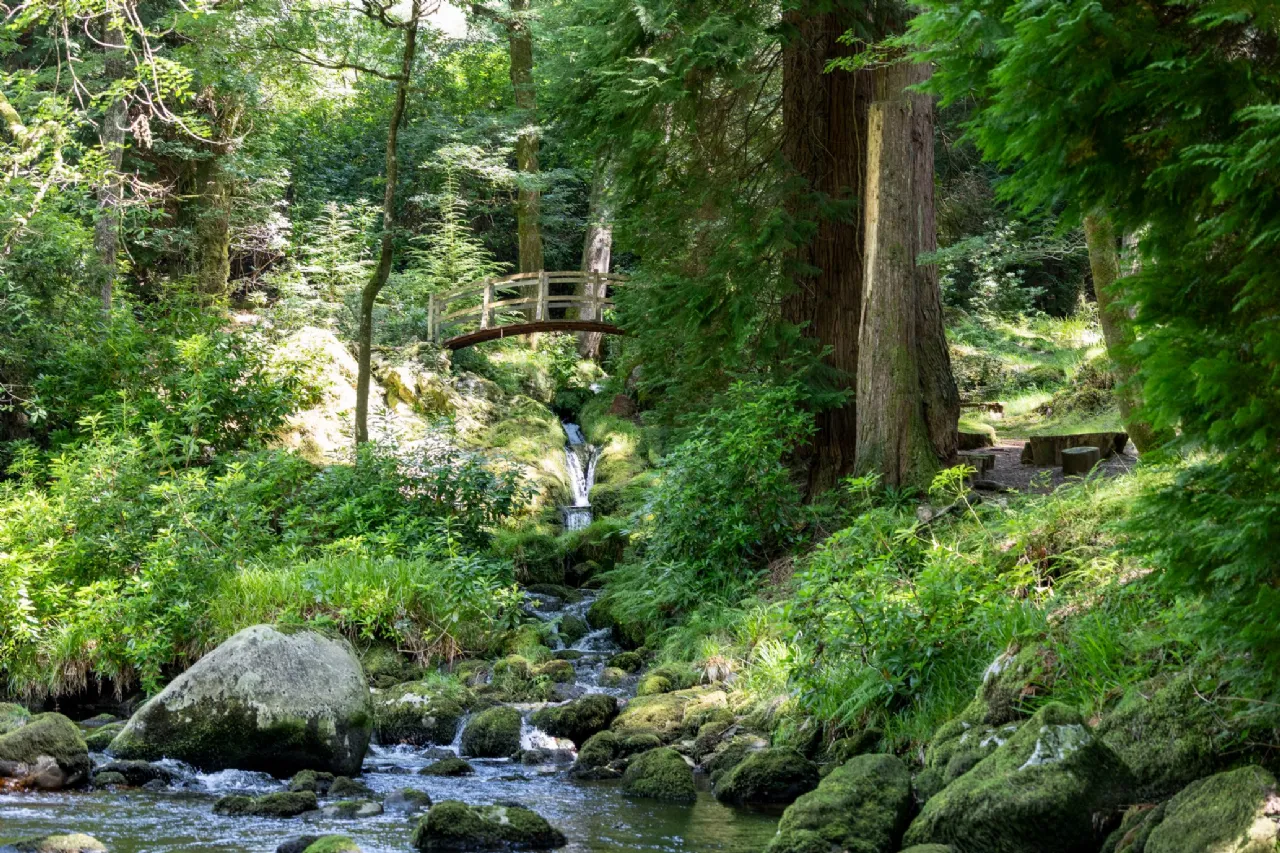 Photo of Ballyteige Lodge, Ballyteige, Tinahely, Arklow, County Wicklow, Y14WF83