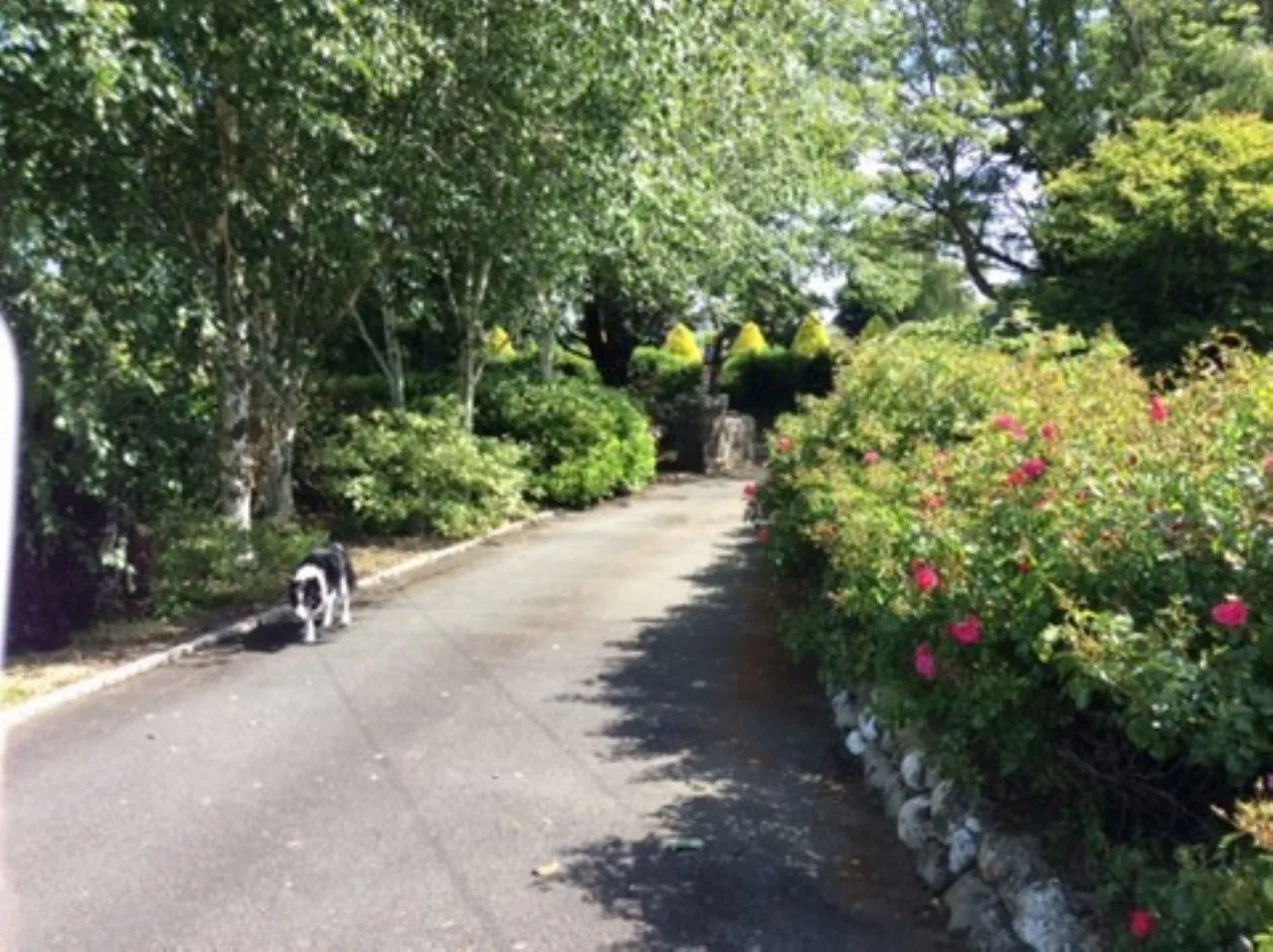 Photo of Drummin House, Timullen, Rathdrum, County Wicklow, A67 H267