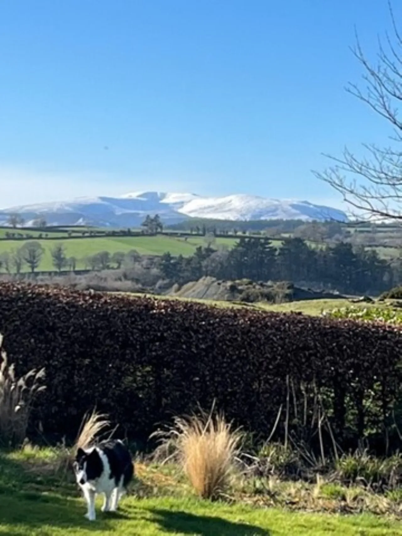 Photo of Drummin House, Timullen, Rathdrum, County Wicklow, A67 H267