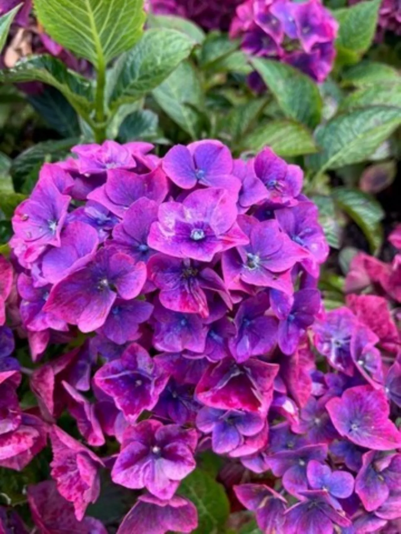 Photo of Drummin House, Timullen, Rathdrum, County Wicklow, A67 H267